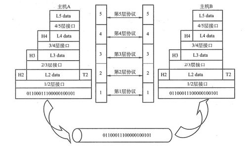 計算機(jī)網(wǎng)絡(luò)學(xué)習(xí)的收獲與思考